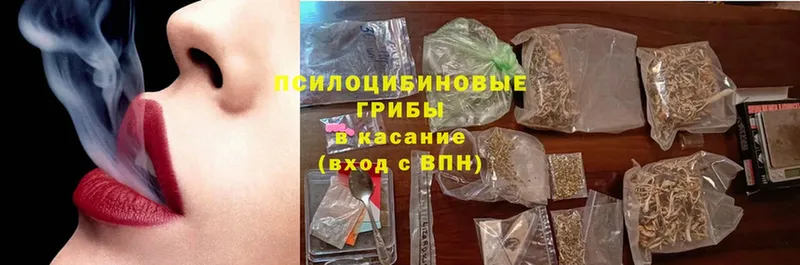 закладка Саратов Галлюциногенные грибы Cubensis